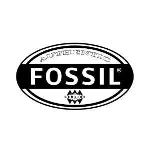  fossil-logo 